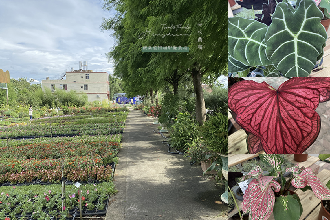 青松花卉農場